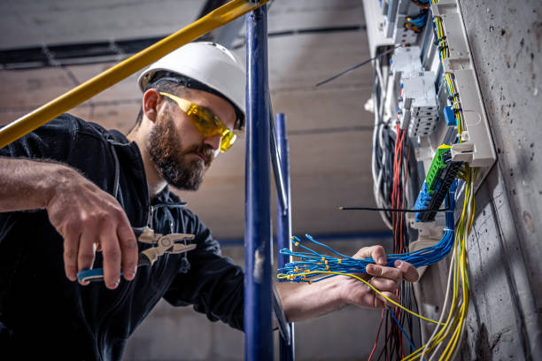 Best Home Electrical Repair  in Appleton City, MO